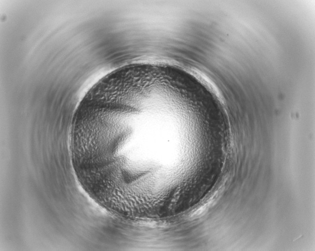 X0000088890855200706221838