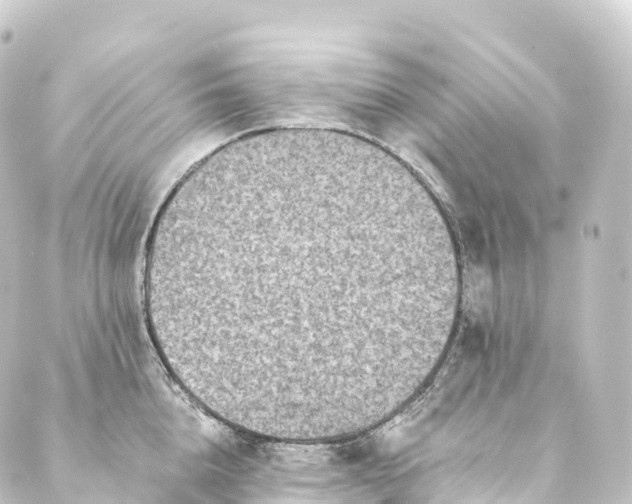 X0000088890856200706221838