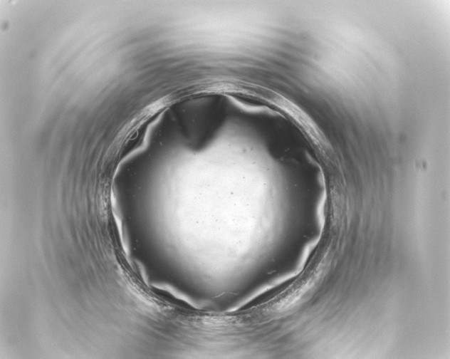 X0000088890857200706221838