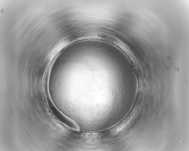 X0000088890858200706221838