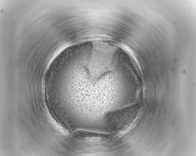 X0000088890859200706221838