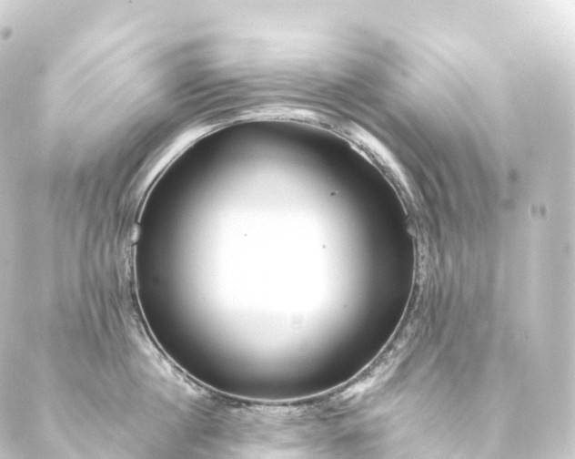 X0000088890860200706221838