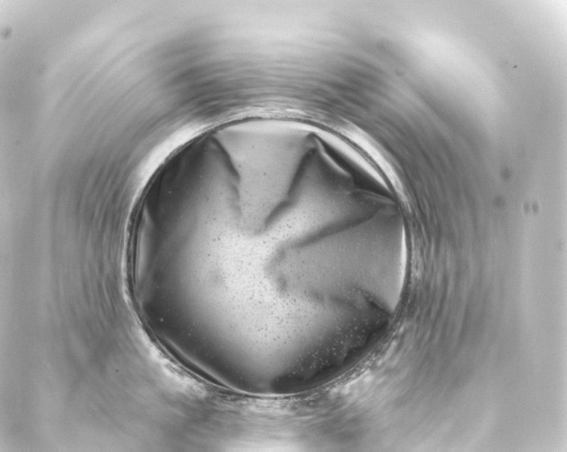 X0000088890861200706221838