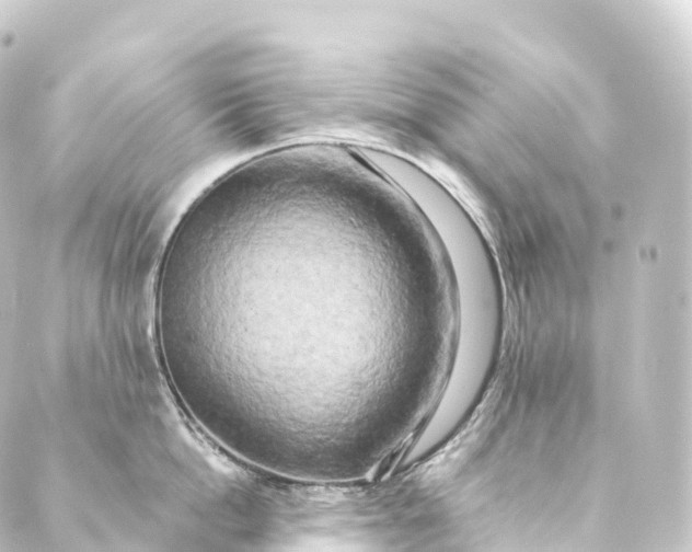 X0000088890862200706221838