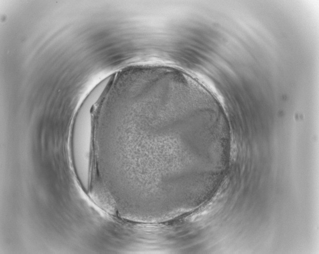 X0000088890863200706221838