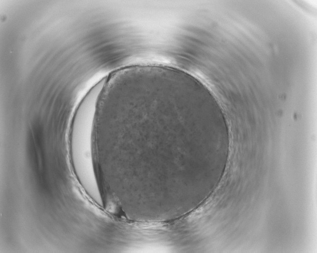 X0000088890864200706221838