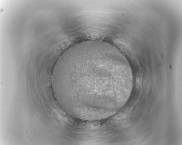 X0000088890865200706221837