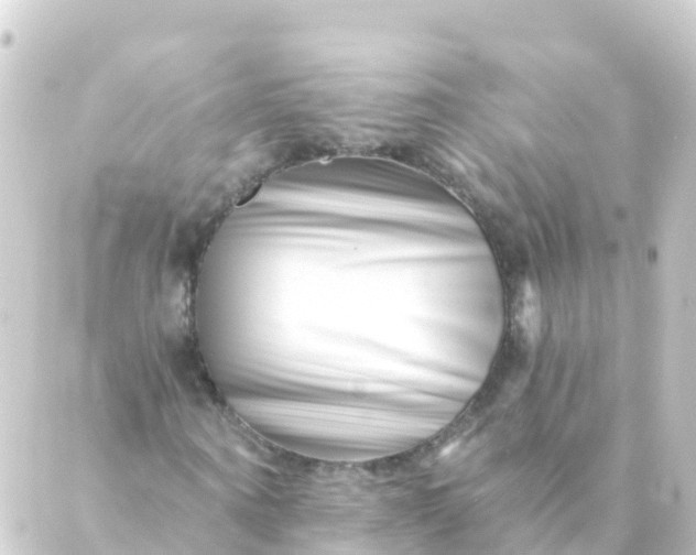 X0000088890866200706221837