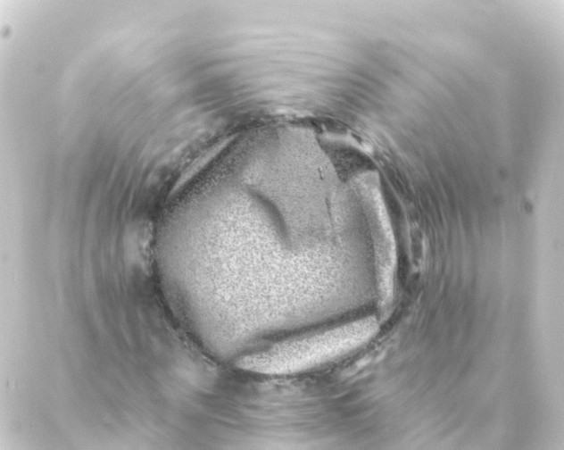 X0000088890867200706221837