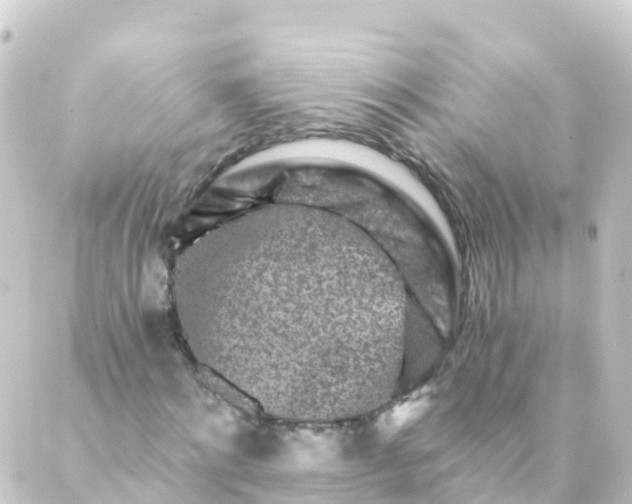 X0000088890868200706221837