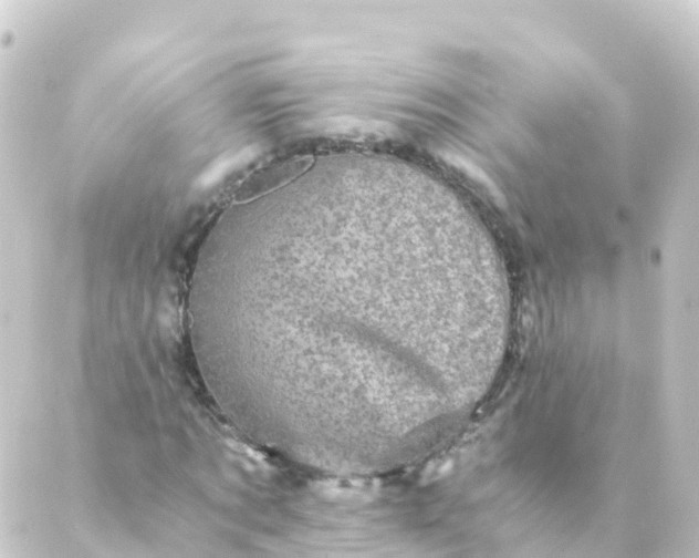 X0000088890869200706221837