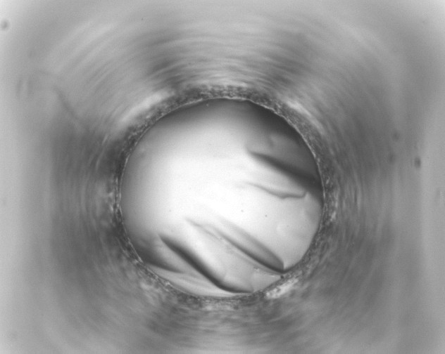 X0000088890870200706221837