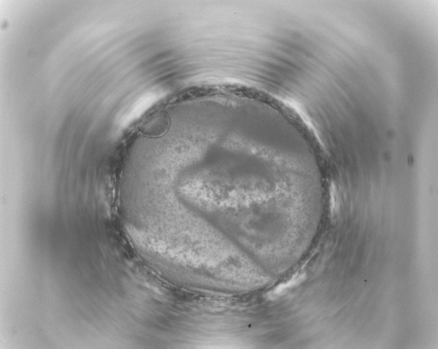 X0000088890871200706221837