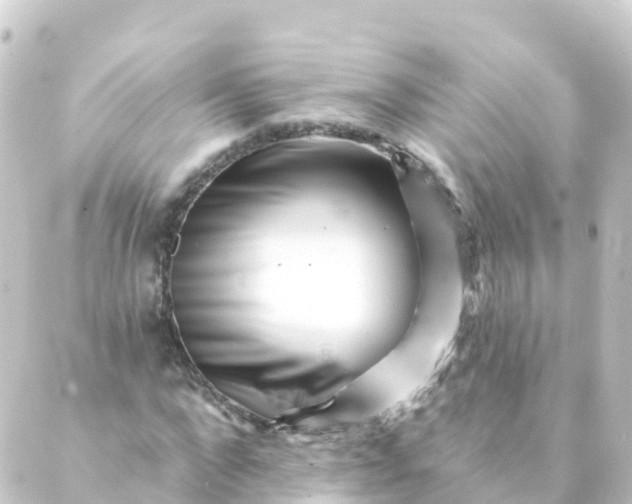 X0000088890872200706221837