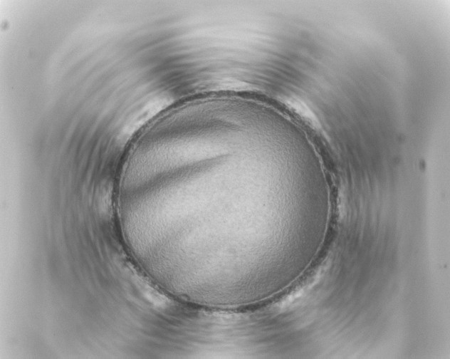 X0000088890873200706221837