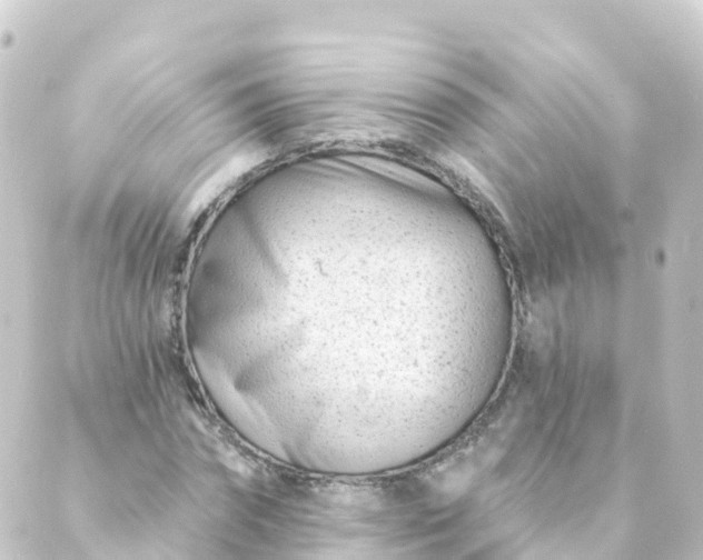 X0000088890874200706221837