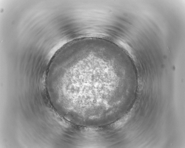 X0000088890875200706221837