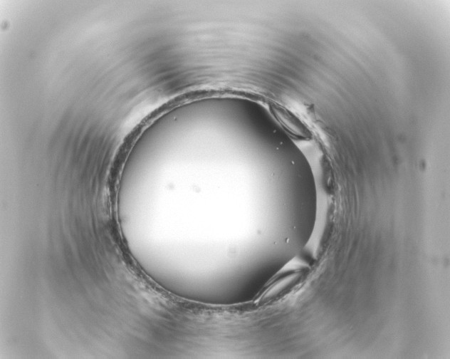 X0000088890876200706221837