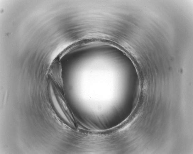 X0000088890877200706221837