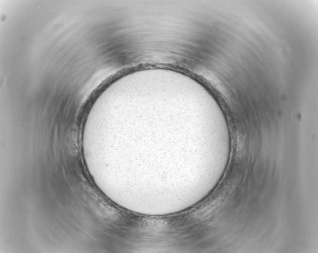 X0000088890878200706221837