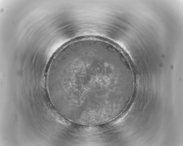 X0000088890879200706221837