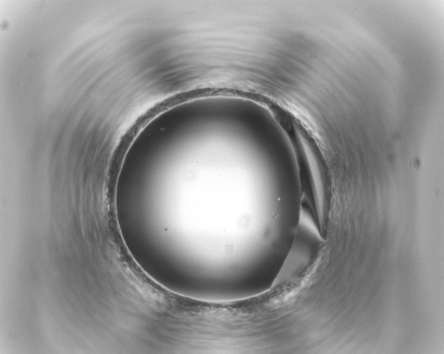 X0000088890880200706221837