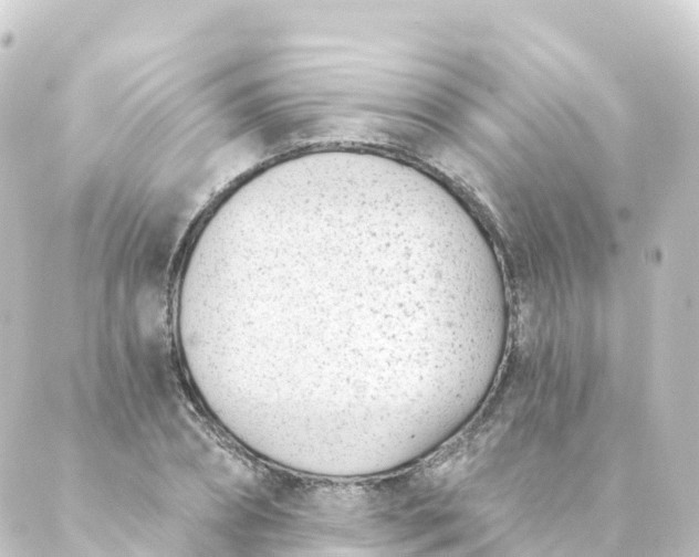 X0000088890882200706221837