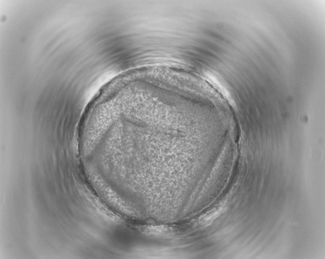 X0000088890883200706221837