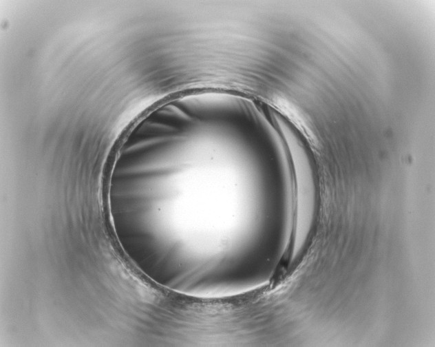 X0000088890884200706221837