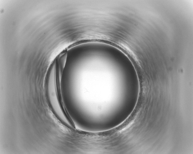 X0000088890885200706221837