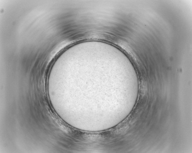 X0000088890886200706221837