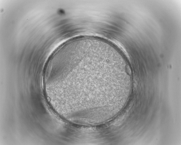 X0000088890887200706221837