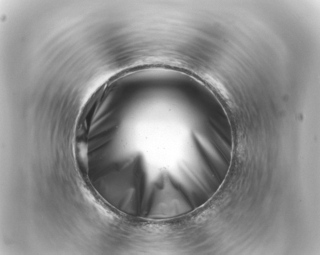 X0000088890888200706221837