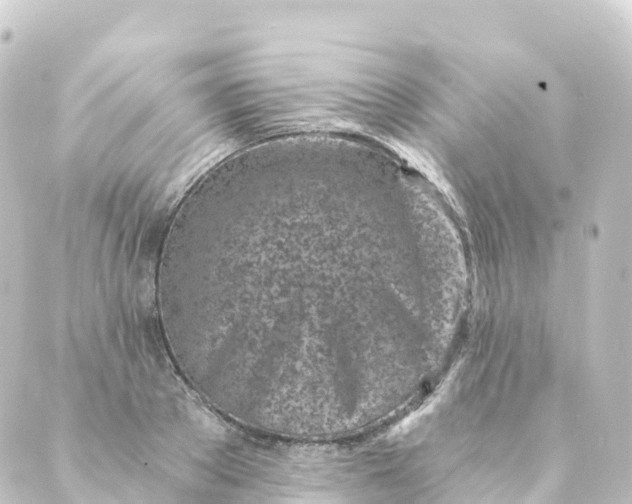 X0000088890889200706221837