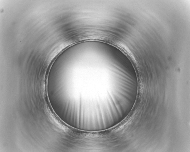 X0000088890890200706221837