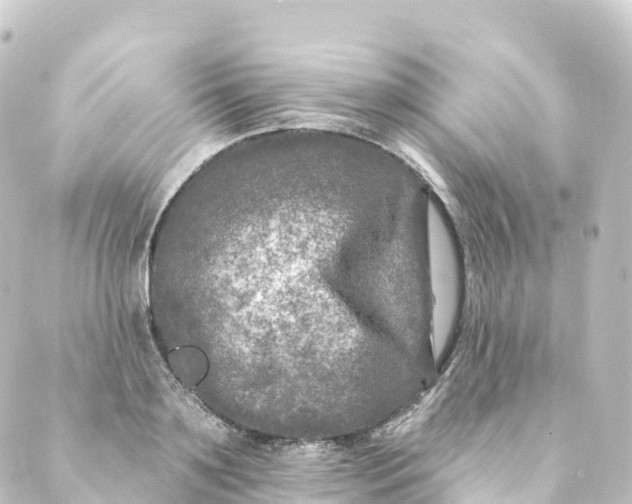 X0000088890891200706221837