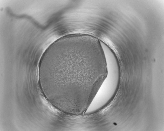 X0000088890892200706221837