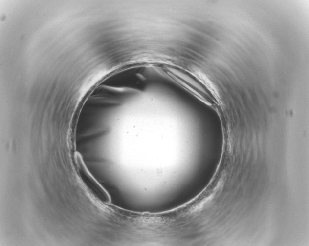 X0000088890893200706221837