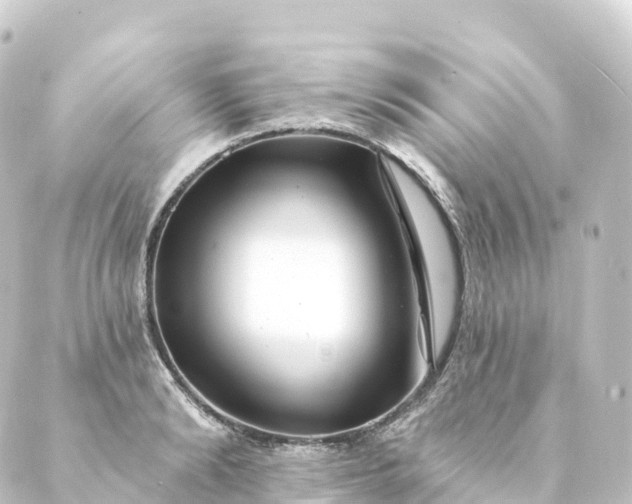 X0000088890894200706221837