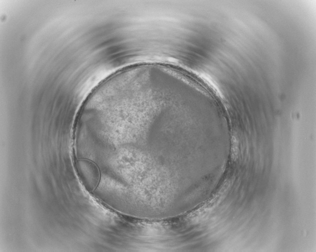 X0000088890895200706221837