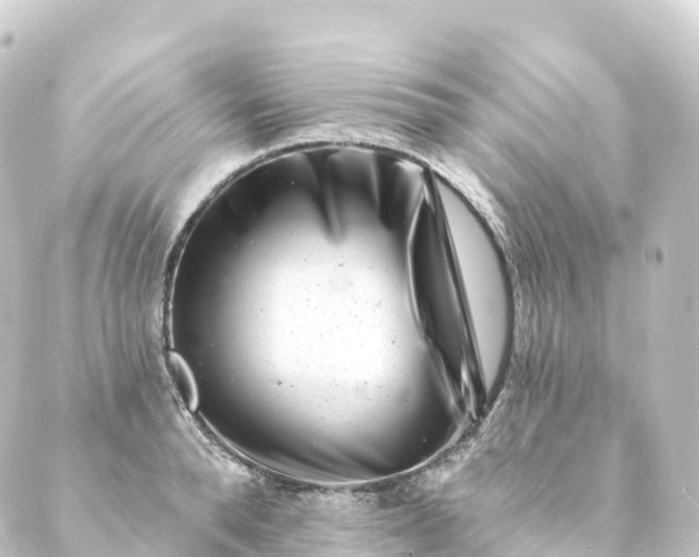 X0000088890896200706221837