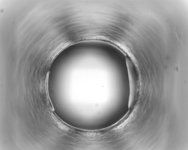 X0000088890897200706221837