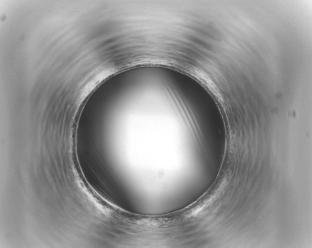 X0000088890898200706221837