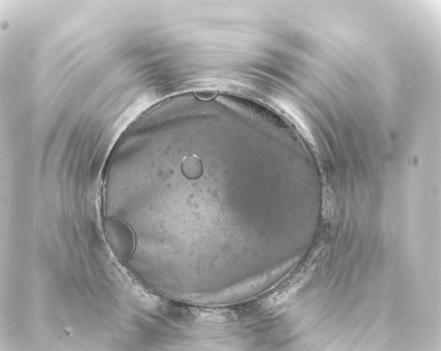 X0000088890899200706221837