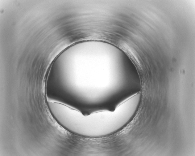 X0000088890900200706221837