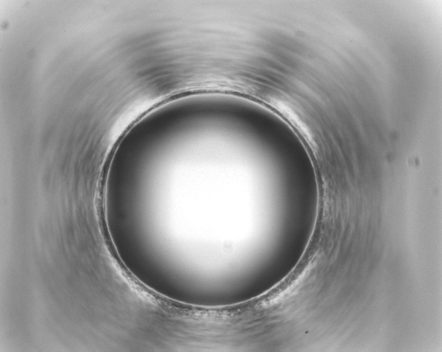 X0000088890901200706221837