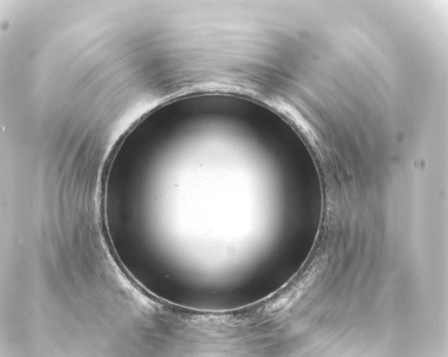 X0000088890902200706221837