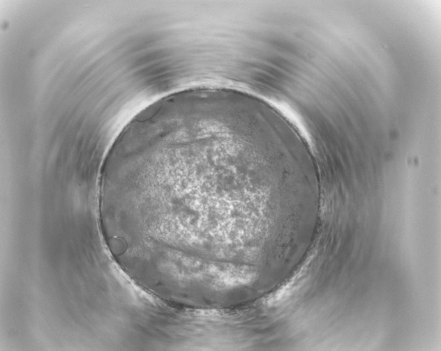 X0000088890903200706221837