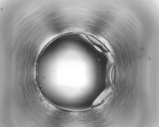 X0000088890904200706221837