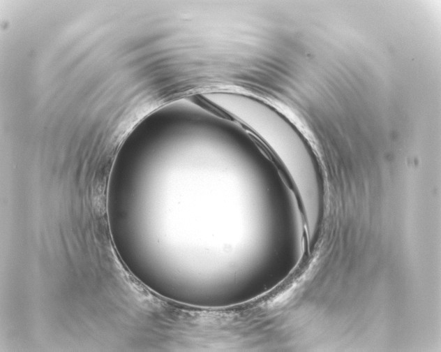 X0000088890905200706221837